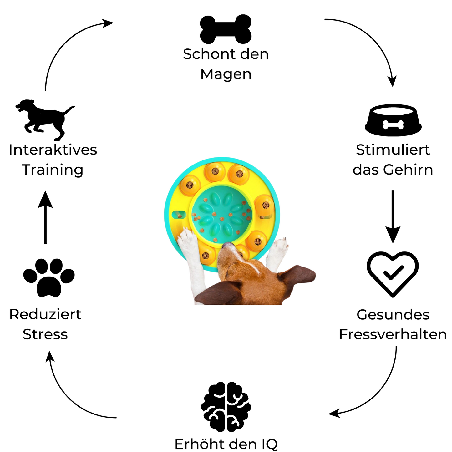 Slow-Feeder Puzzle für Hunde