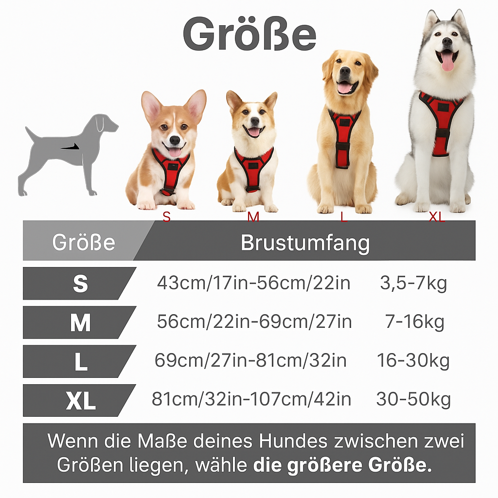 Hundehalsbänder