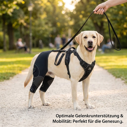 Orthopädische Hunde-Kniebandage mit Gelenkschiene
