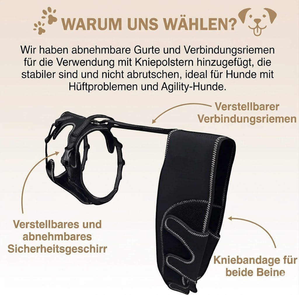 Orthopädische Hunde-Kniebandage mit Gelenkschiene