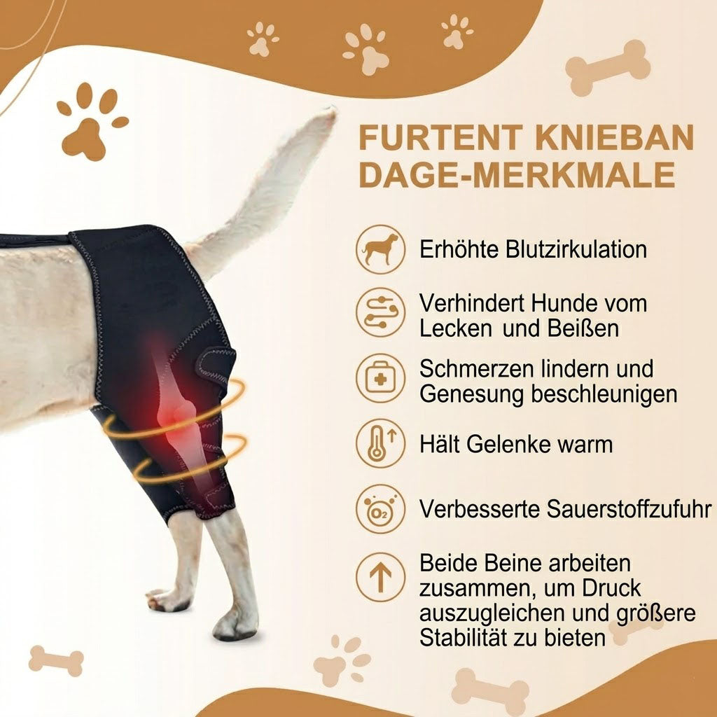 Orthopädische Hunde-Kniebandage mit Gelenkschiene