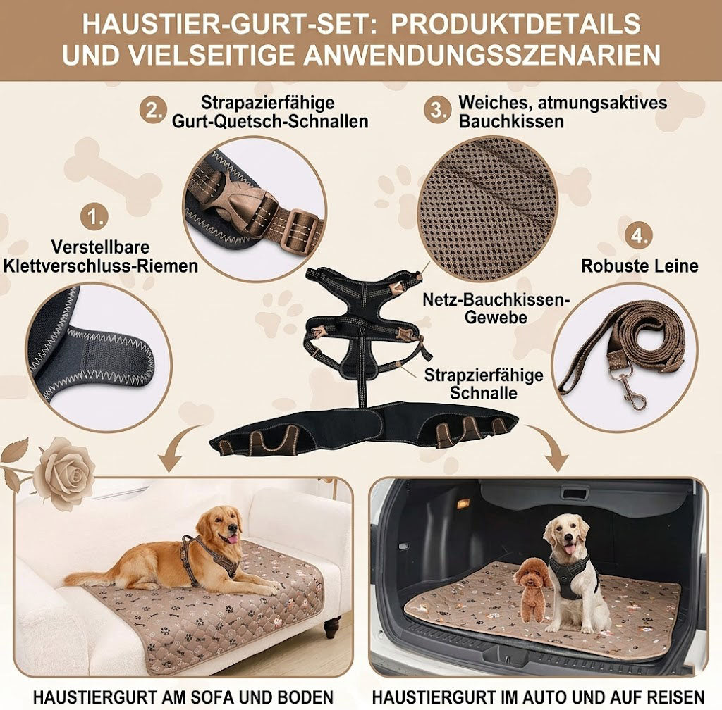 Orthopädische Hunde-Kniebandage mit Gelenkschiene