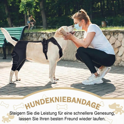 Orthopädische Hunde-Kniebandage mit Gelenkschiene