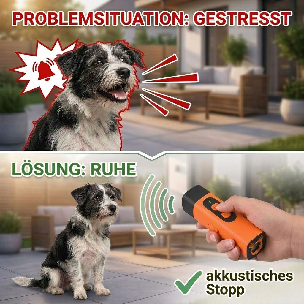 Ultraschall-Antibell-Trainer