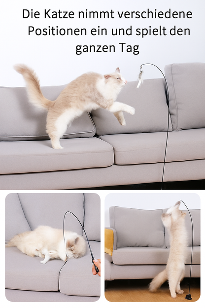 Interaktives Katzenspielzeug