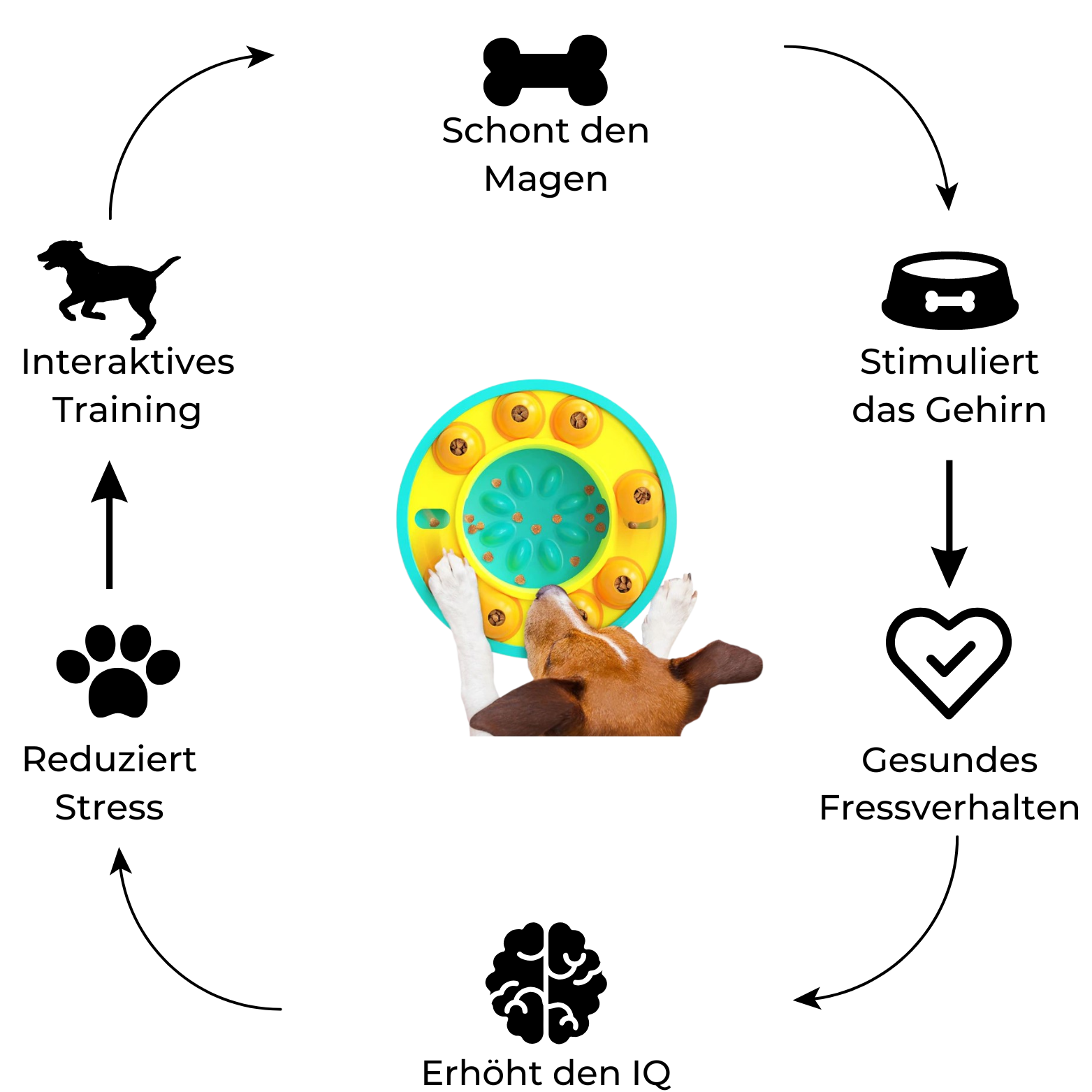 Slow-Feeder Puzzle für Hunde