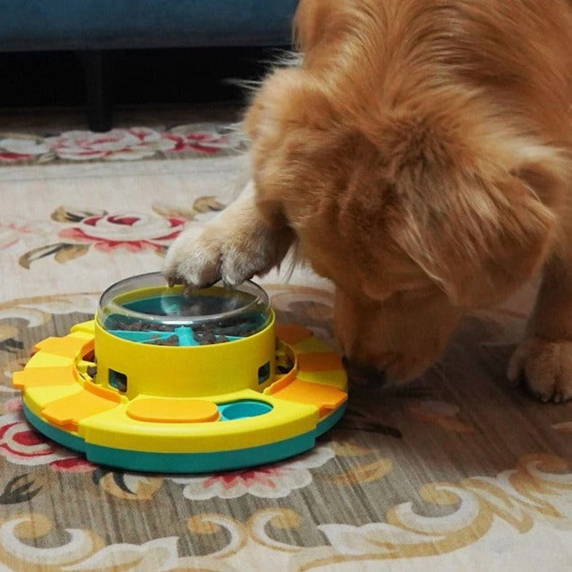 Slow-Feeder Puzzle für Hunde